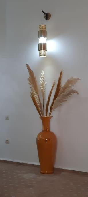 Riad Cosy マラケシュ エクステリア 写真